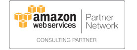 AWS Partner